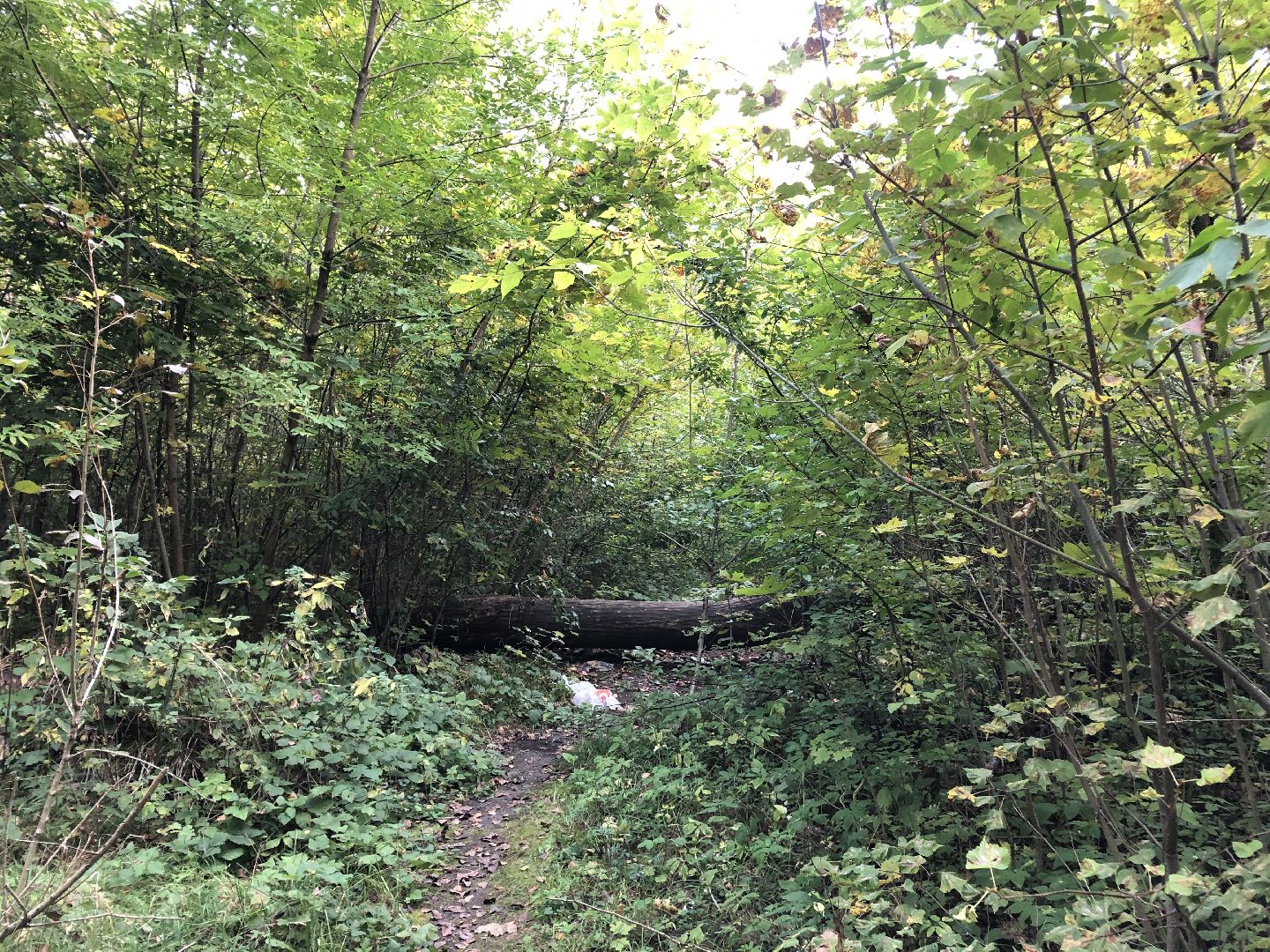 Усадьба, Коломна