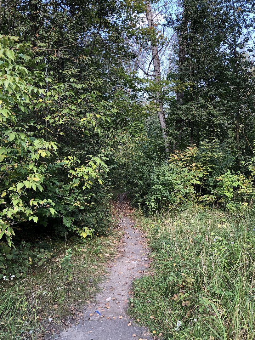 Усадьба, Коломна