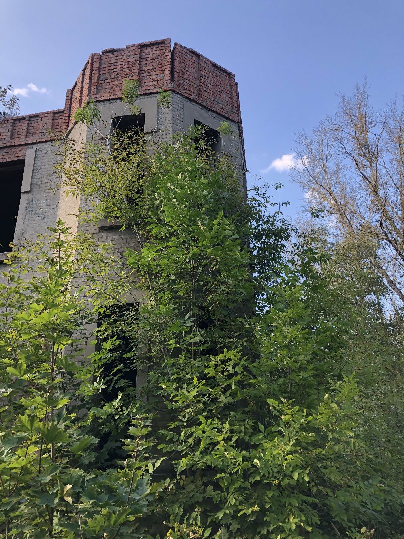 Усадьба, Коломна