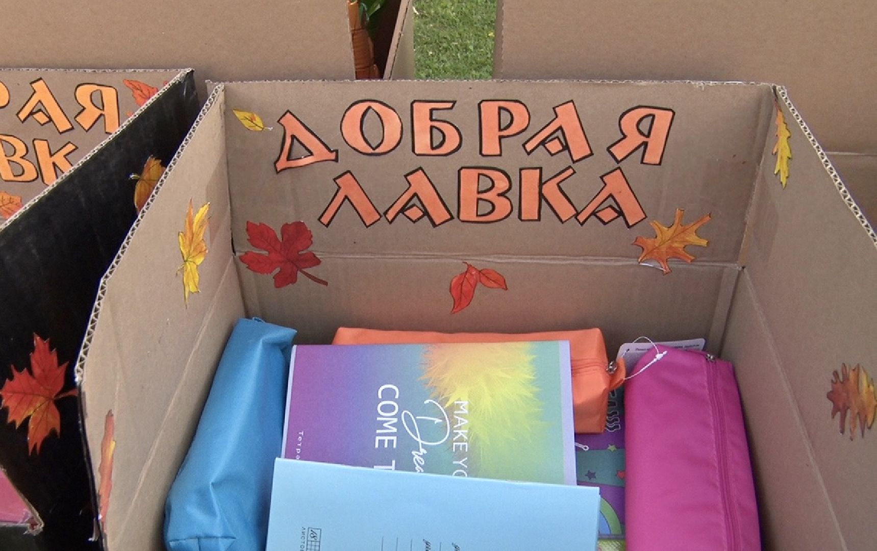 Клин, благотворительная акция, парк