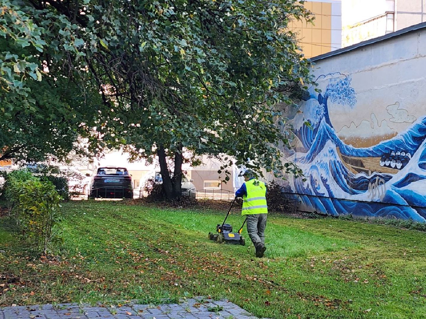 жкх, уборка дворов, покос травы, коммунальное хозяйство, дворыподмосковья,
