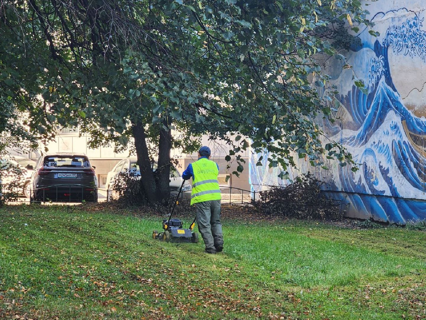 жкх, уборка дворов, покос травы, коммунальное хозяйство, дворыподмосковья,