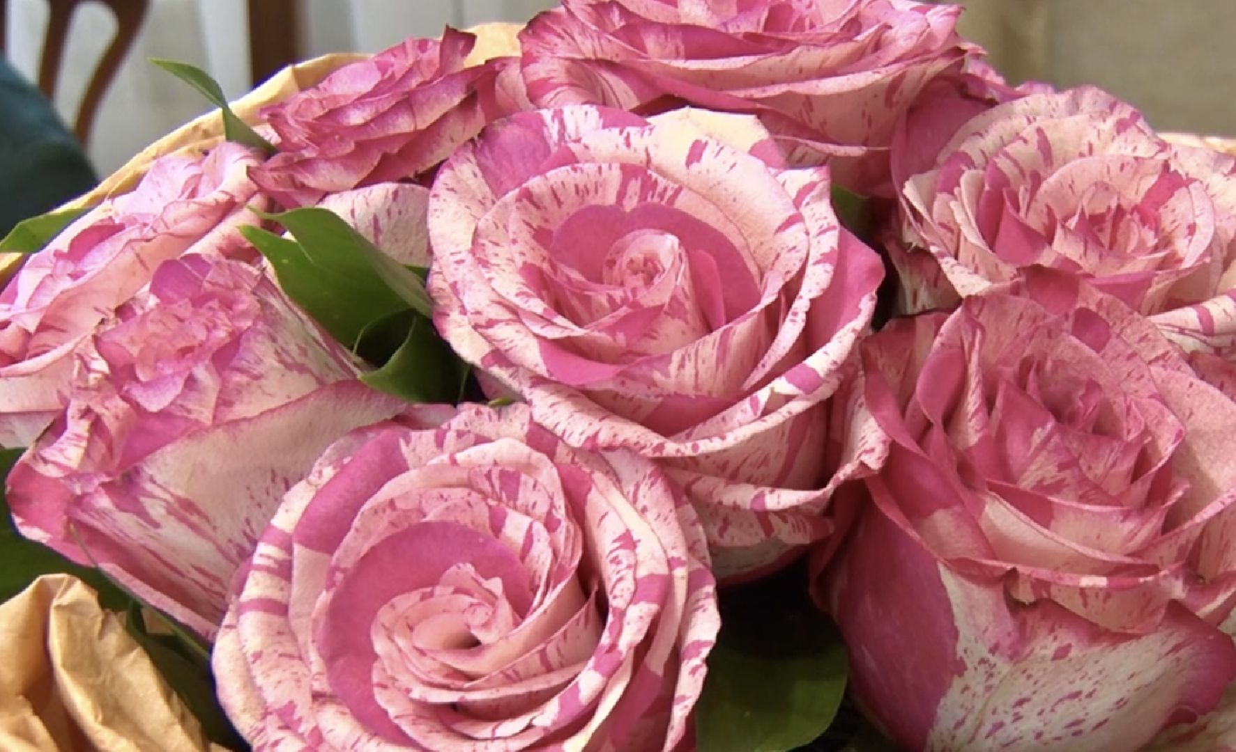 Клин, общество, образование, люди, учителя,