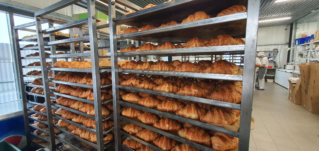 Бизнес, хлебное производство, импортозамещение