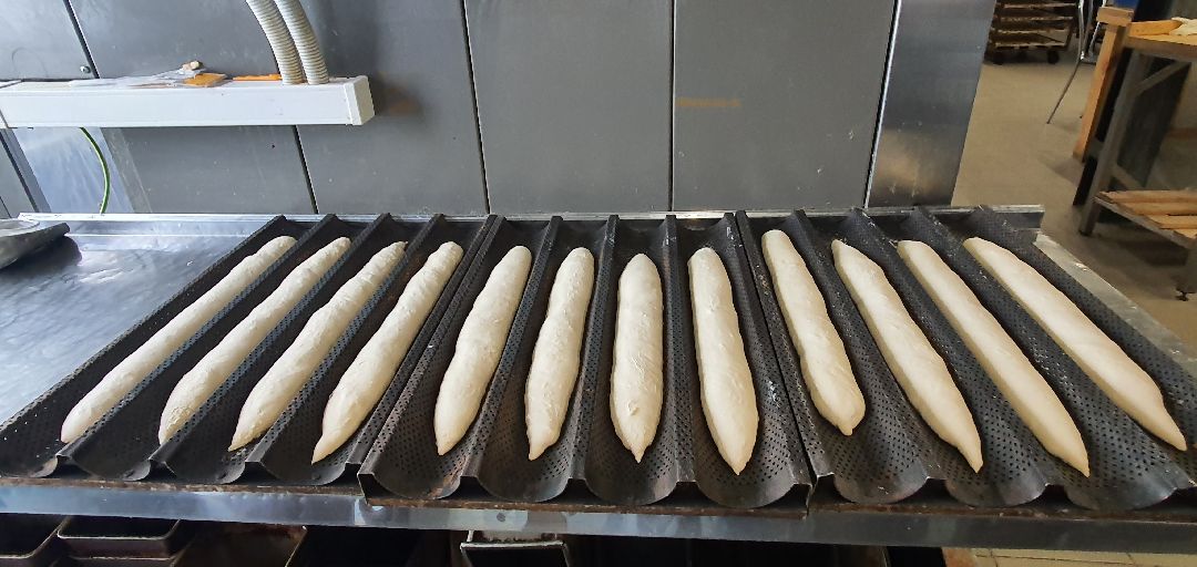 Бизнес, хлебное производство, импортозамещение