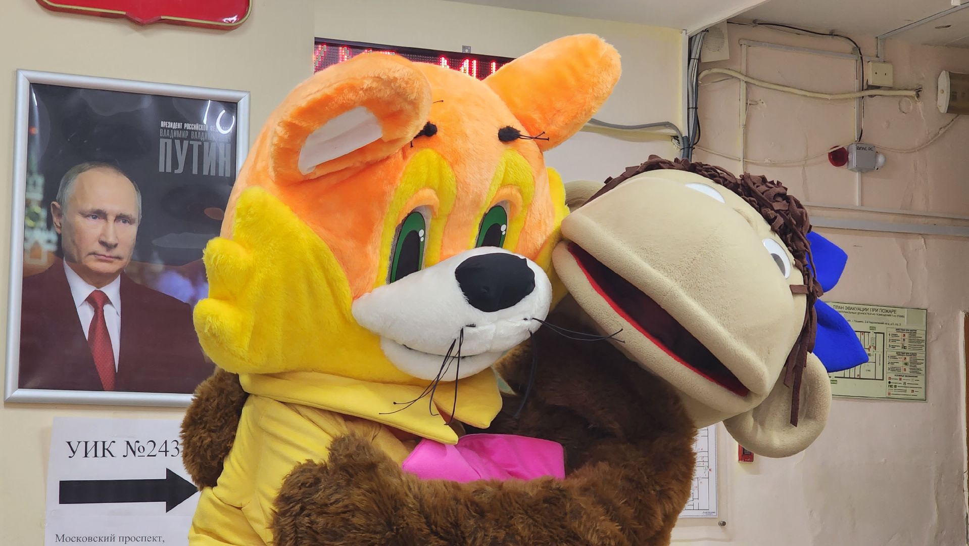 едг2023, выборы, подмосковье выбирает 2023, Пушкино, пушкинский округ,