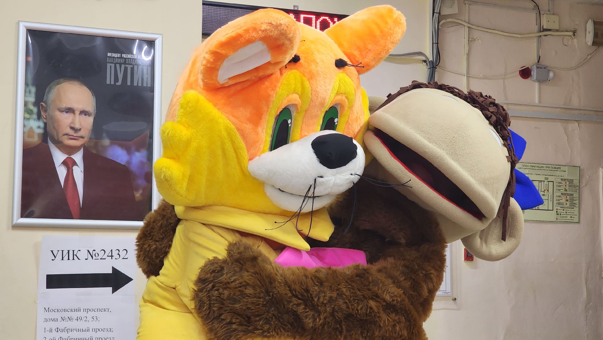 едг2023, выборы, подмосковье выбирает 2023, Пушкино, пушкинский округ,