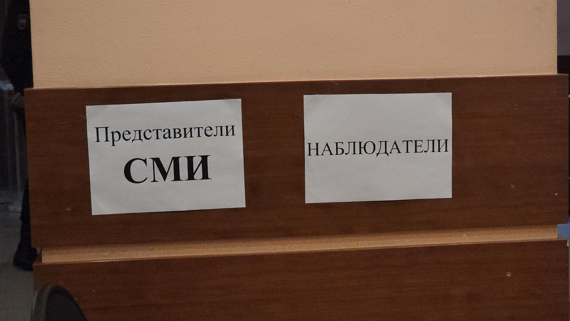 Пушкино, выборы, едг 2023, губернатор, выборы губернатора, городской округ пушкинский,