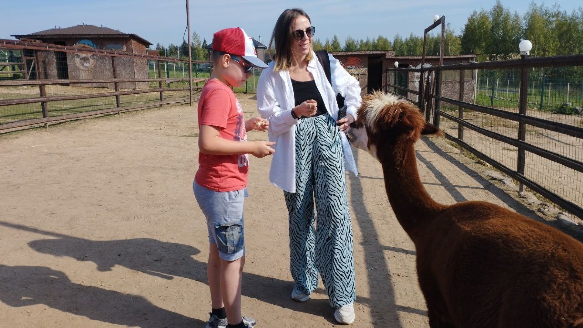 подмосковье, городской округ пушкинский, Ивантеевеа,