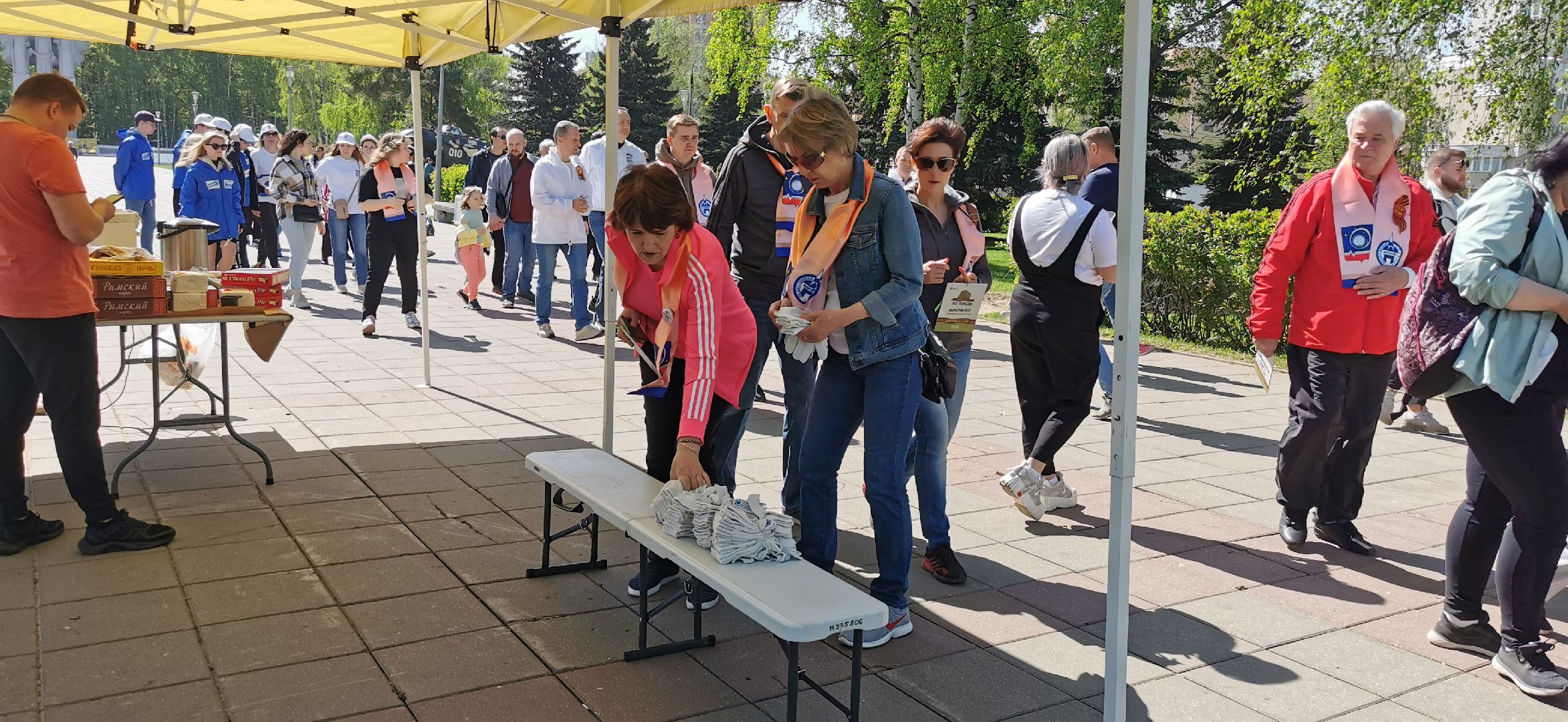 наш лес, экологическая акция, озеленение,