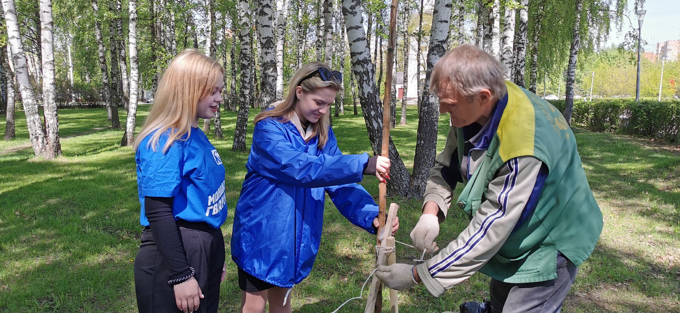 наш лес, экологическая акция, озеленение,