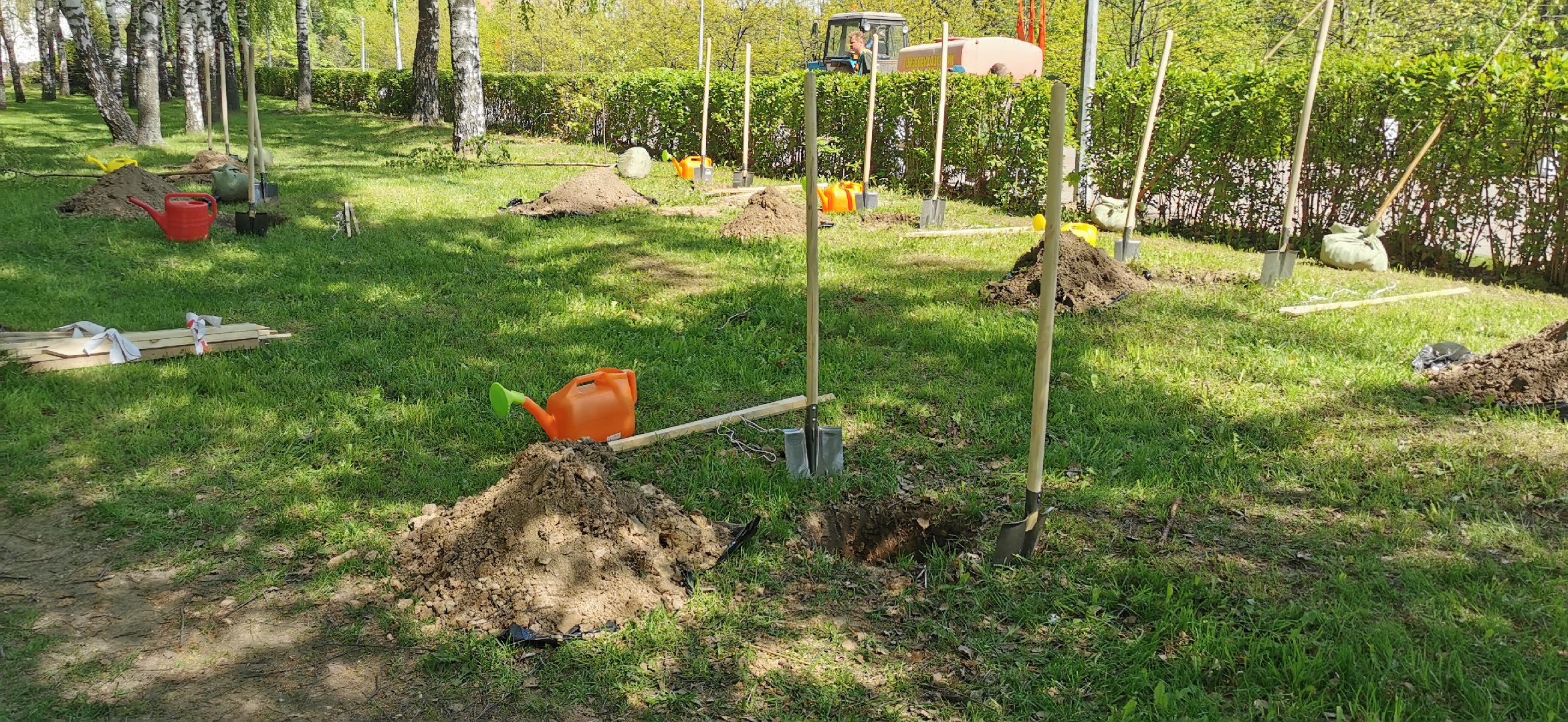 наш лес, экологическая акция, озеленение,