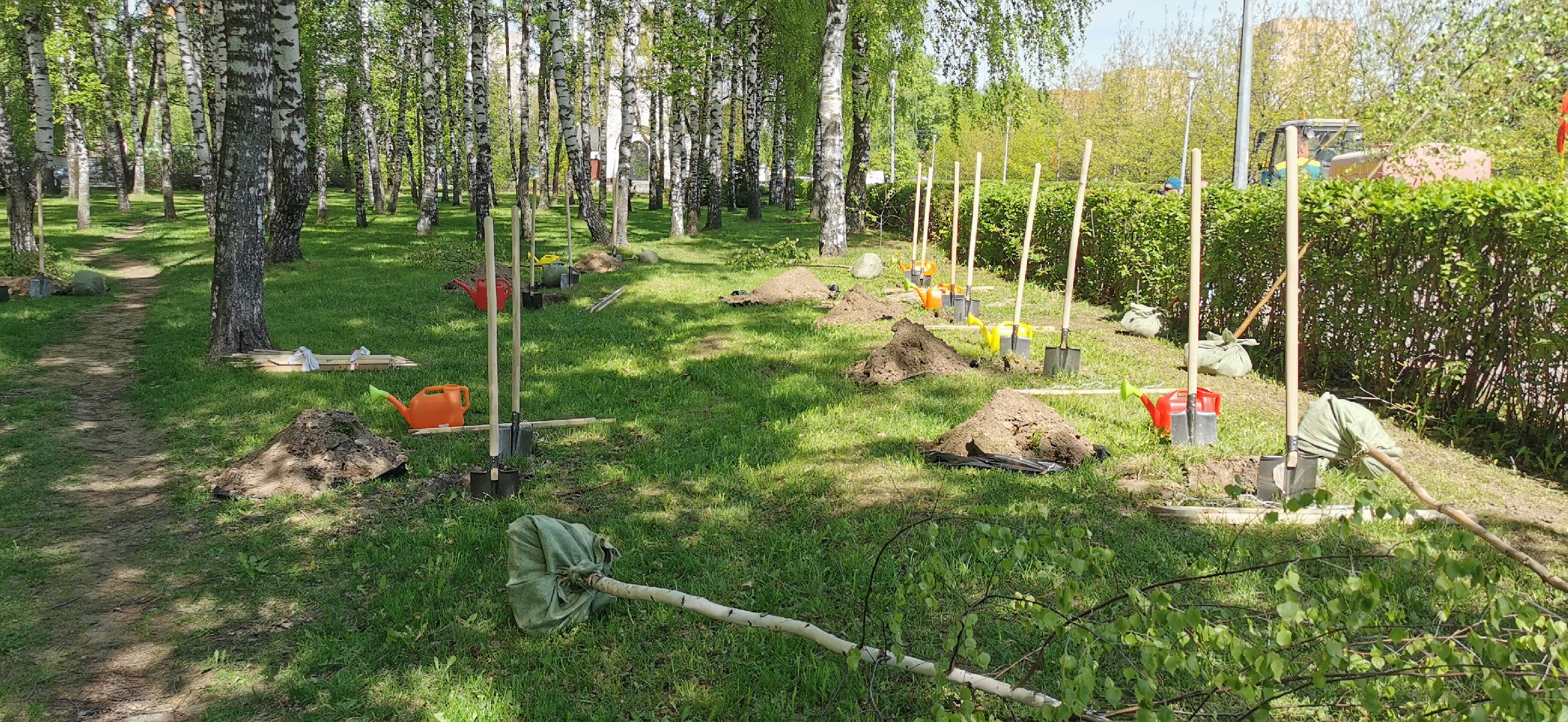 наш лес, экологическая акция, озеленение,