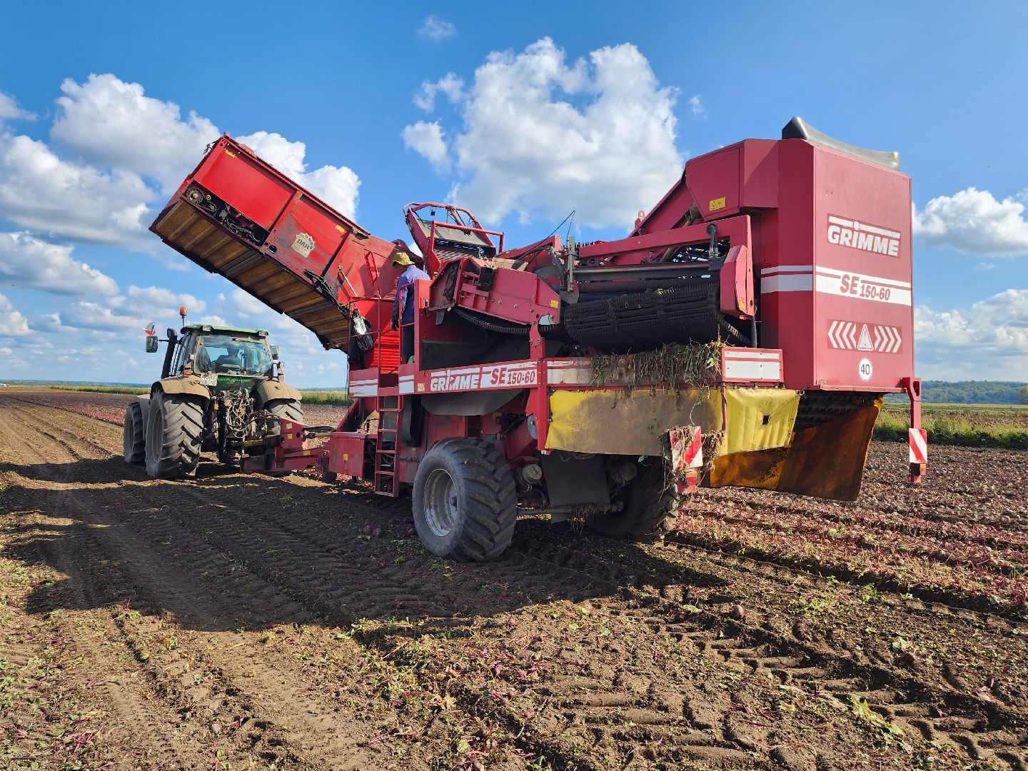 сельскоехозяйство, уборка урожая, серпухов, картофель, овощи, свекла,