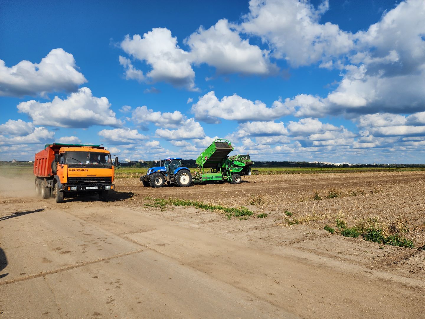 сельскоехозяйство, уборка урожая, серпухов, картофель, овощи, свекла,