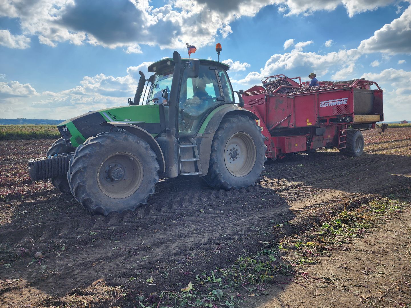 сельскоехозяйство, уборка урожая, серпухов, картофель, овощи, свекла,