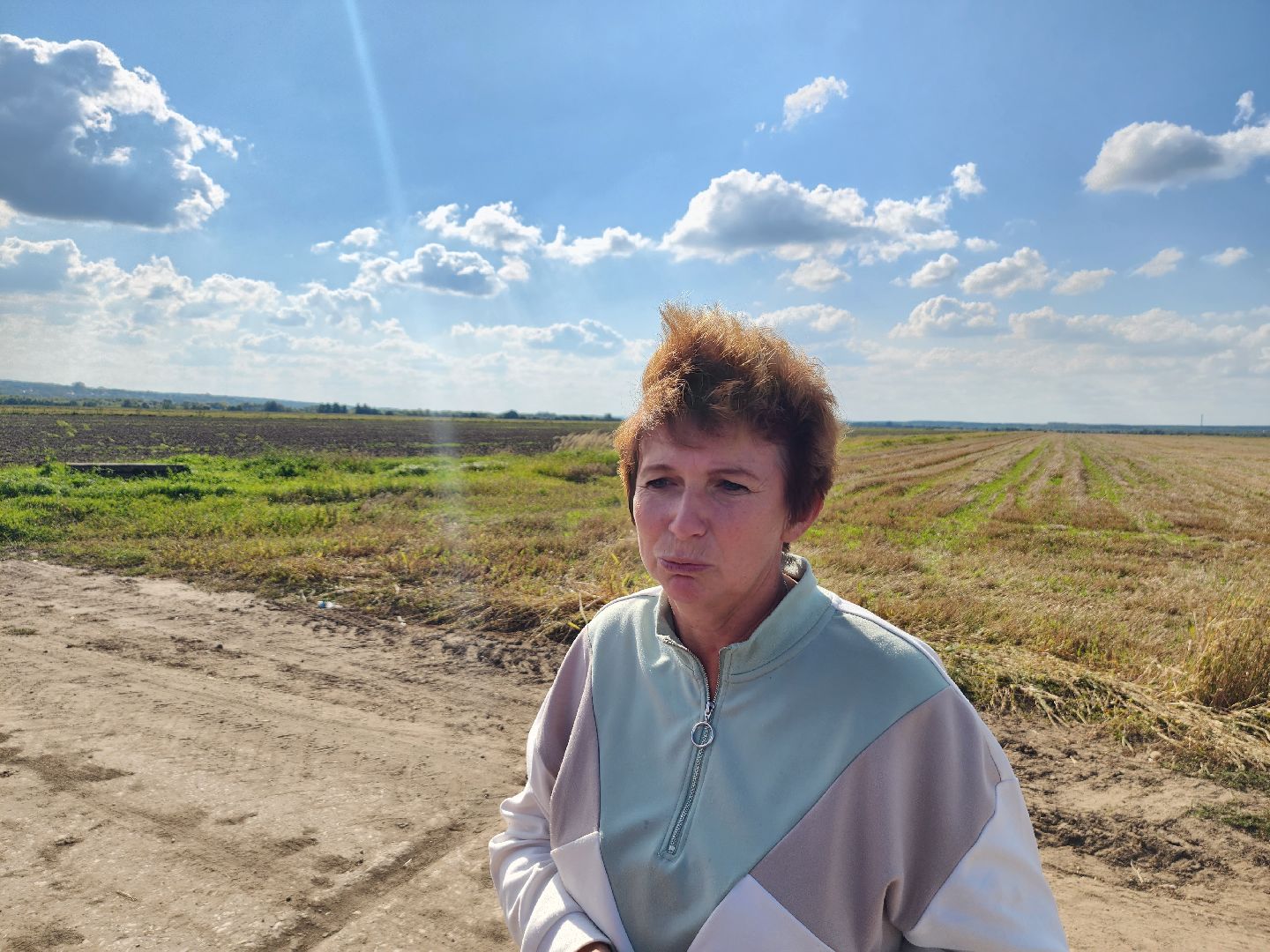 сельскоехозяйство, уборка урожая, серпухов, картофель, овощи, свекла,