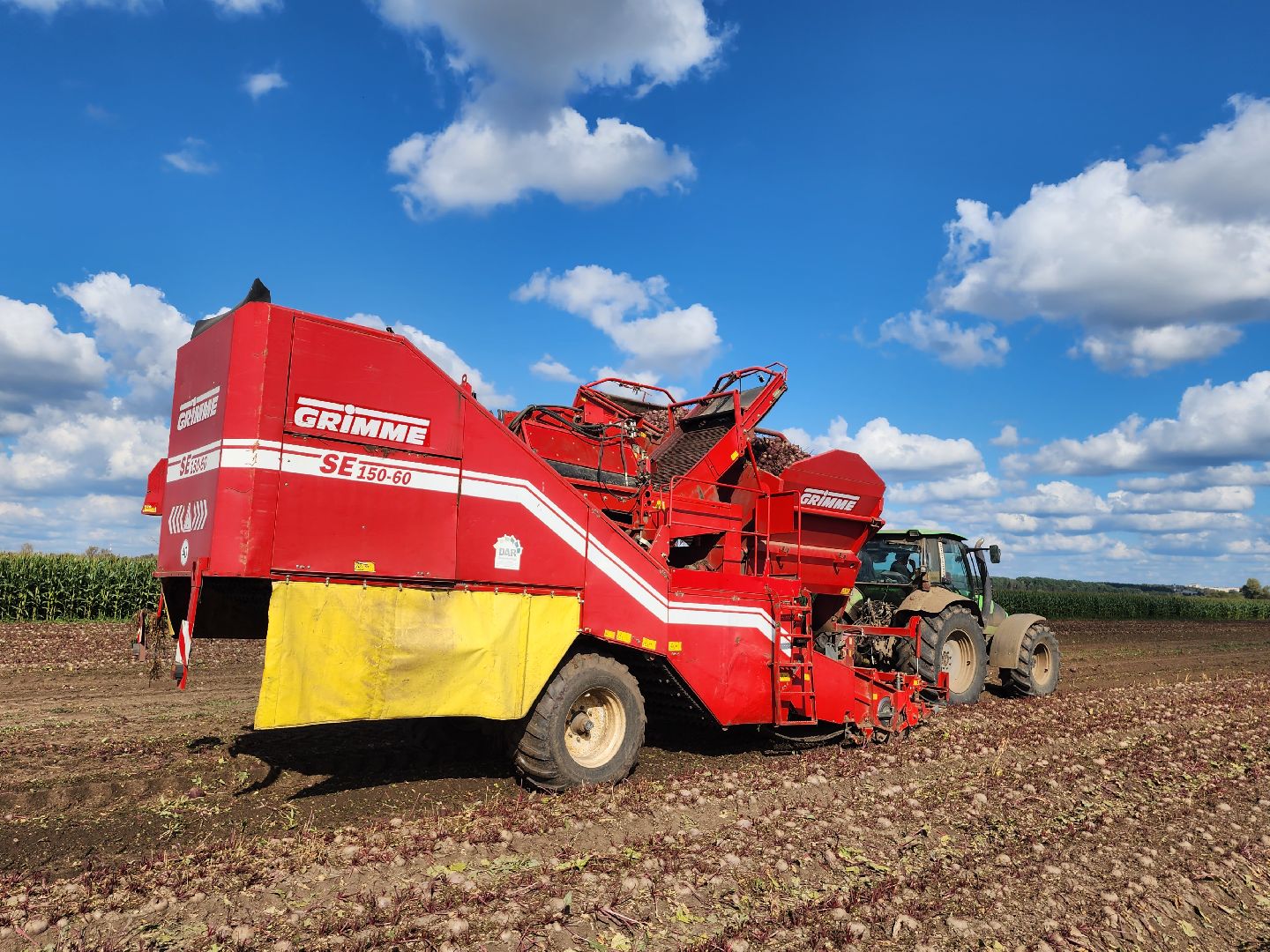 сельскоехозяйство, уборка урожая, серпухов, картофель, овощи, свекла,