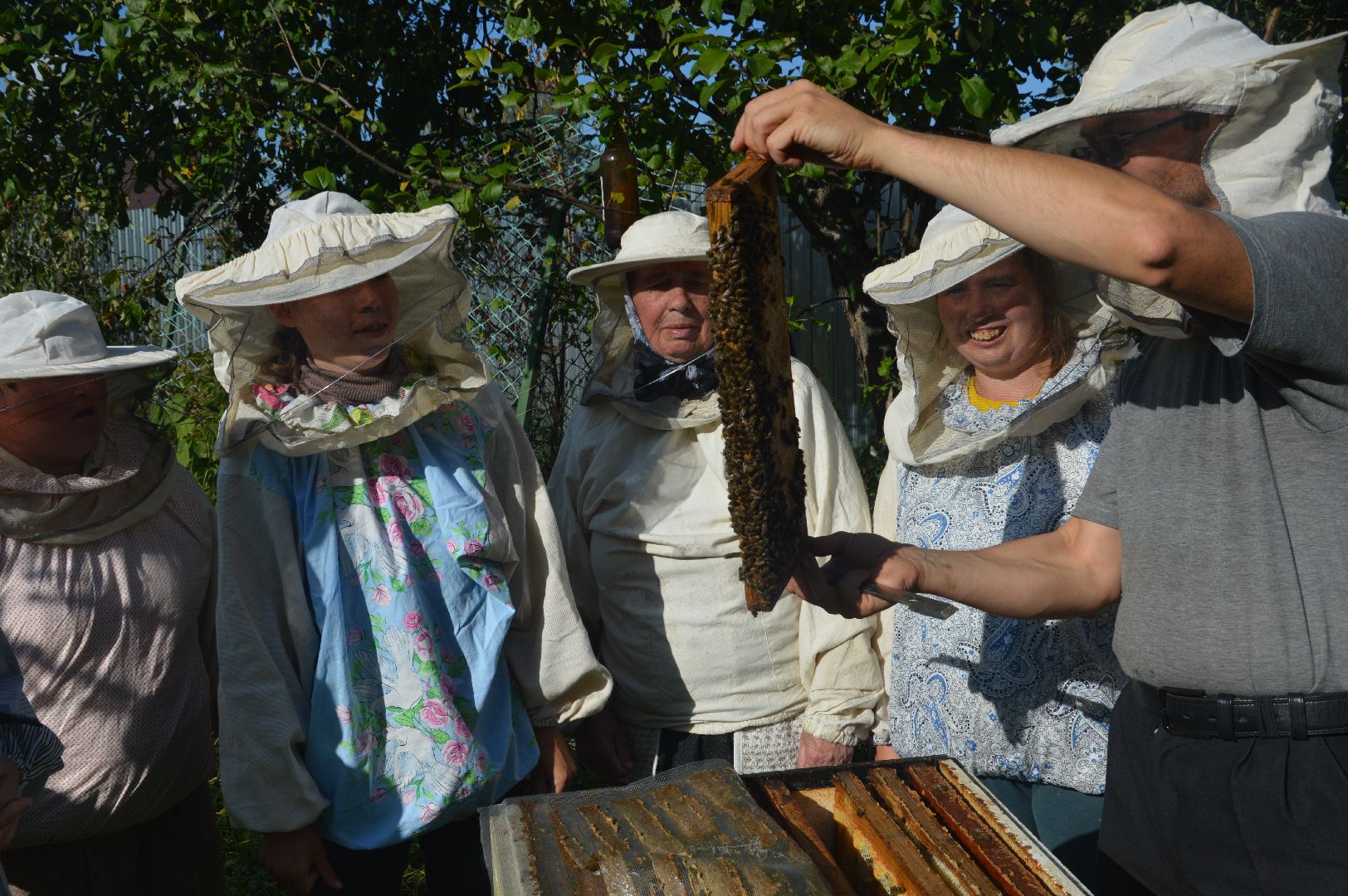 шатура, пчеловодство, мёд, пасека,