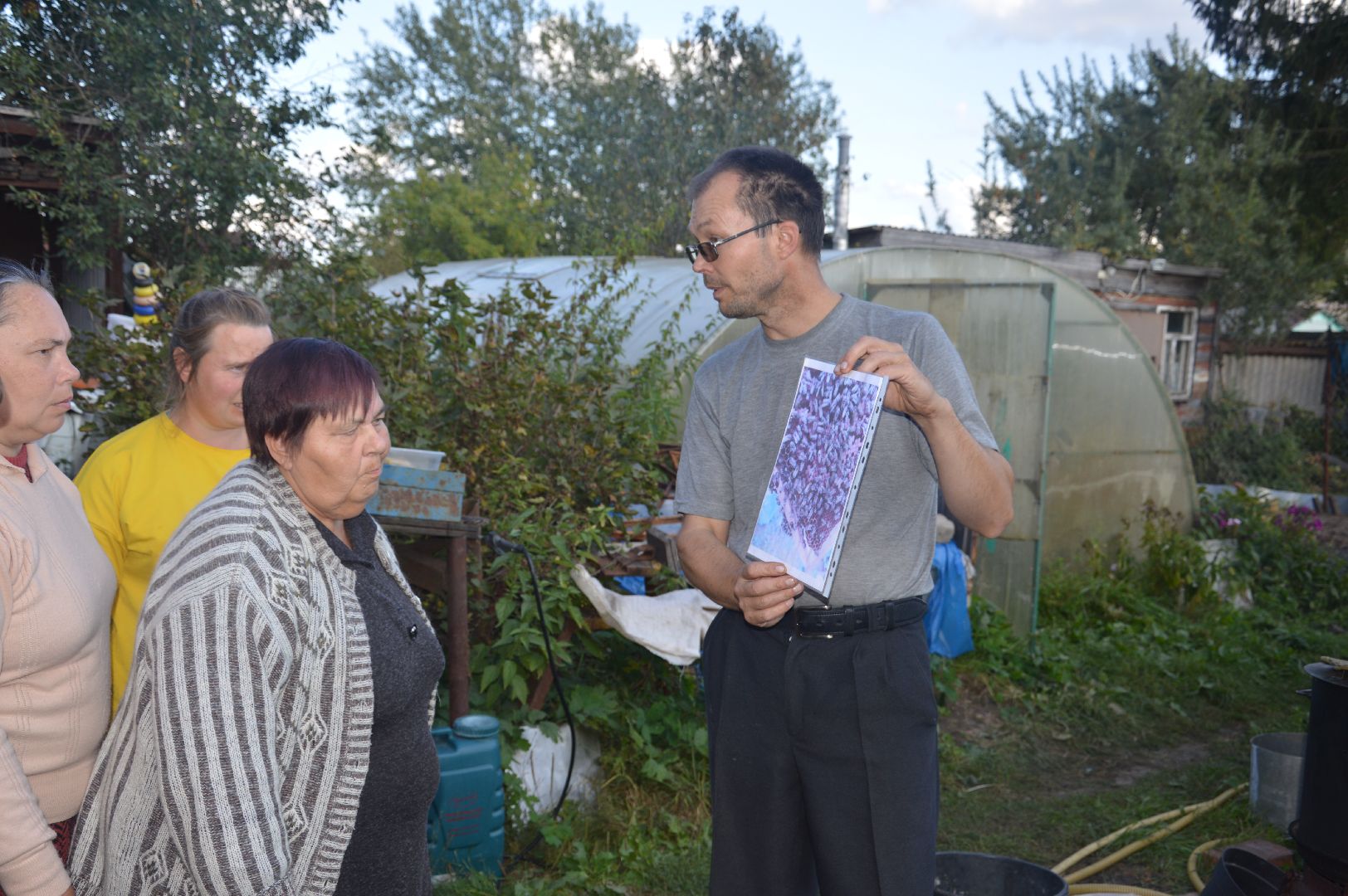 шатура, пчеловодство, мёд, пасека,