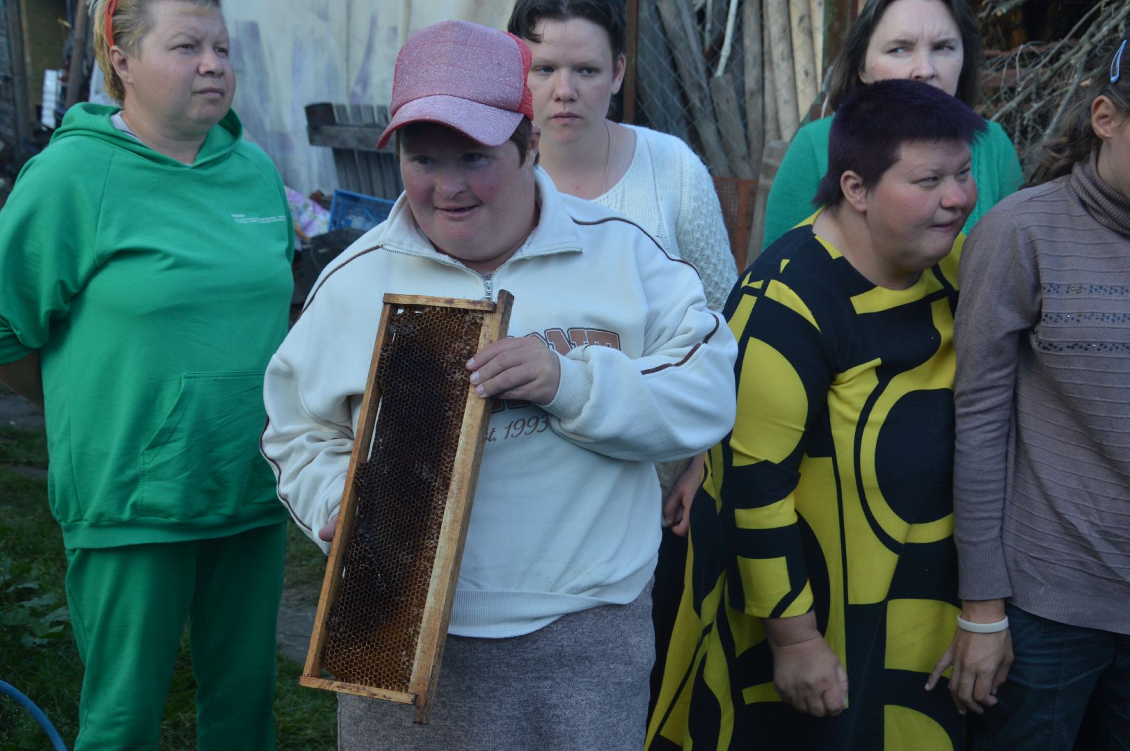 шатура, пчеловодство, мёд, пасека,