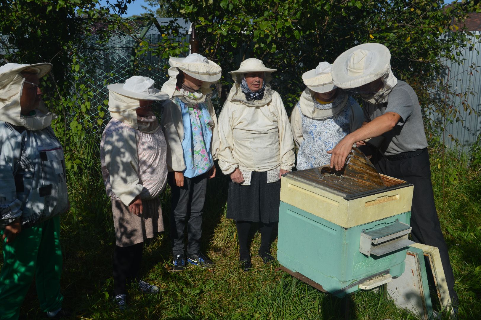 шатура, пчеловодство, мёд, пасека,