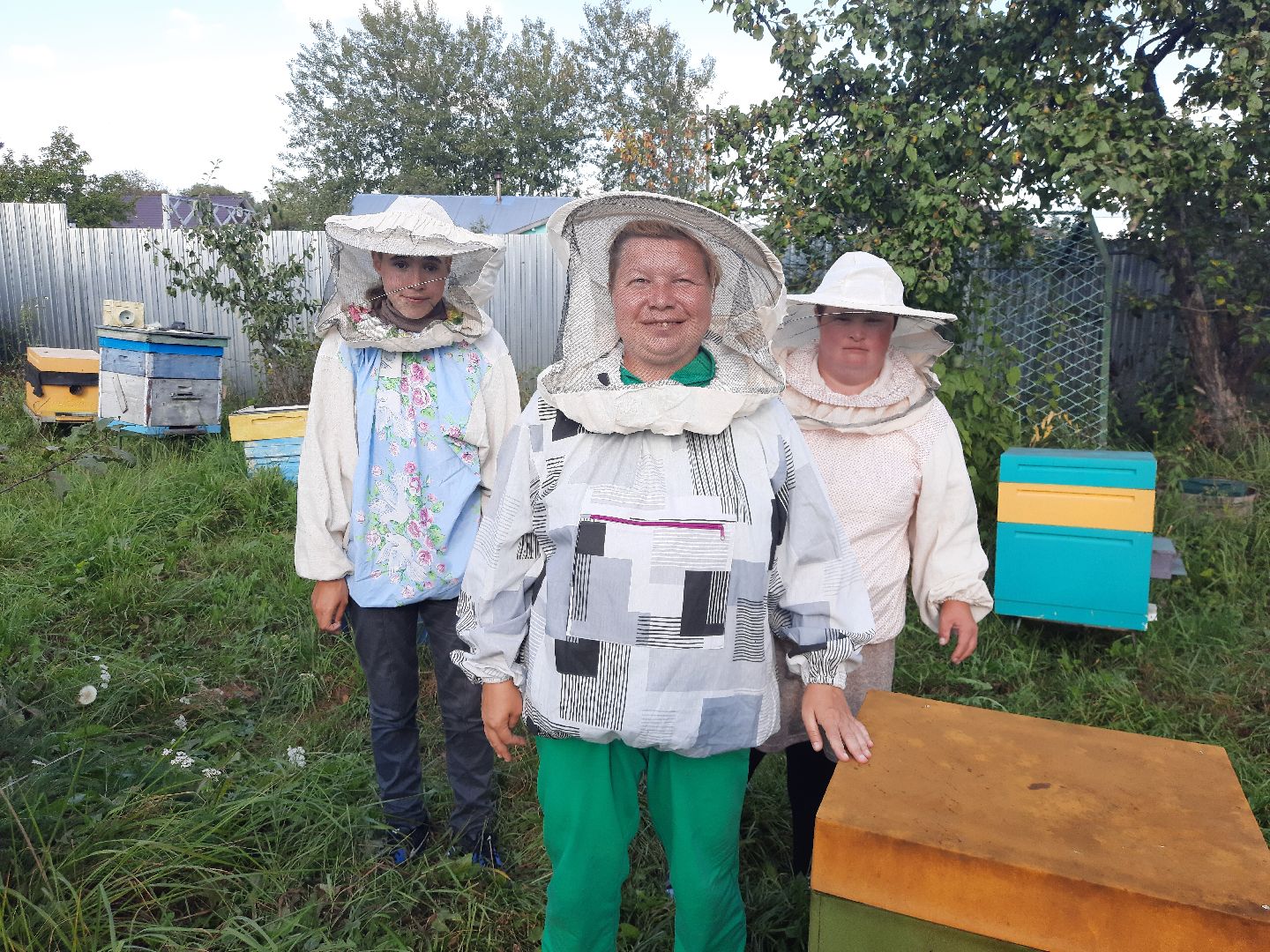 шатура, пчеловодство, мёд, пасека,