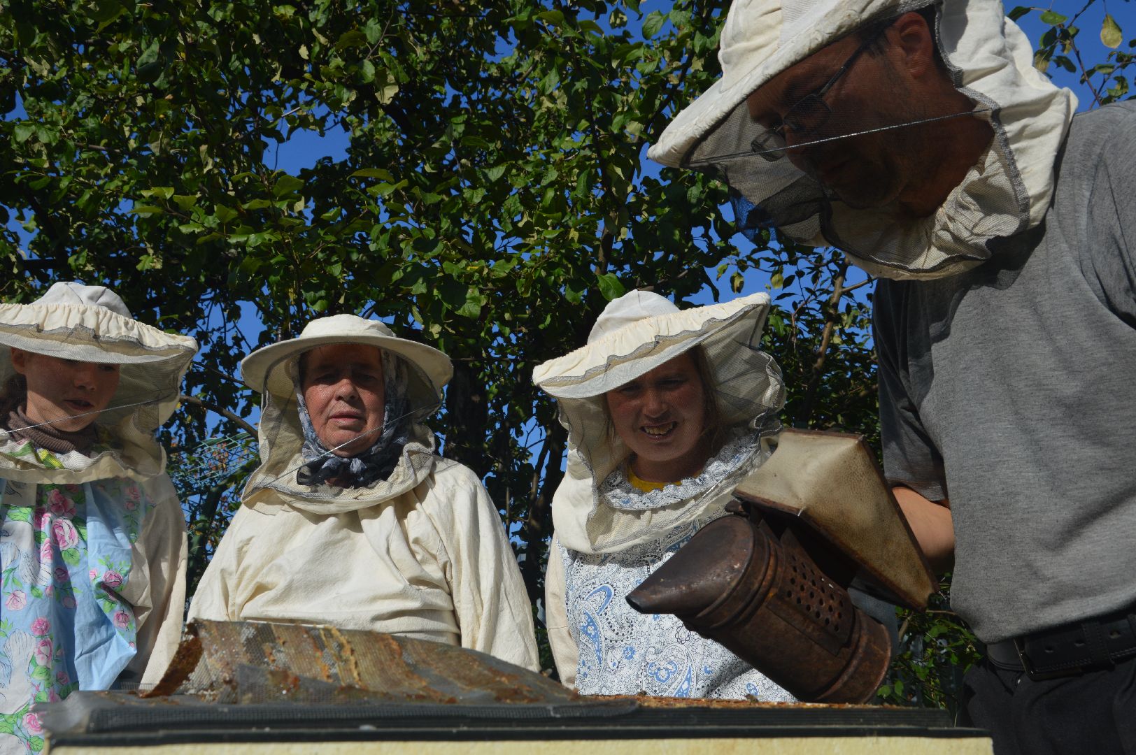 шатура, пчеловодство, мёд, пасека,