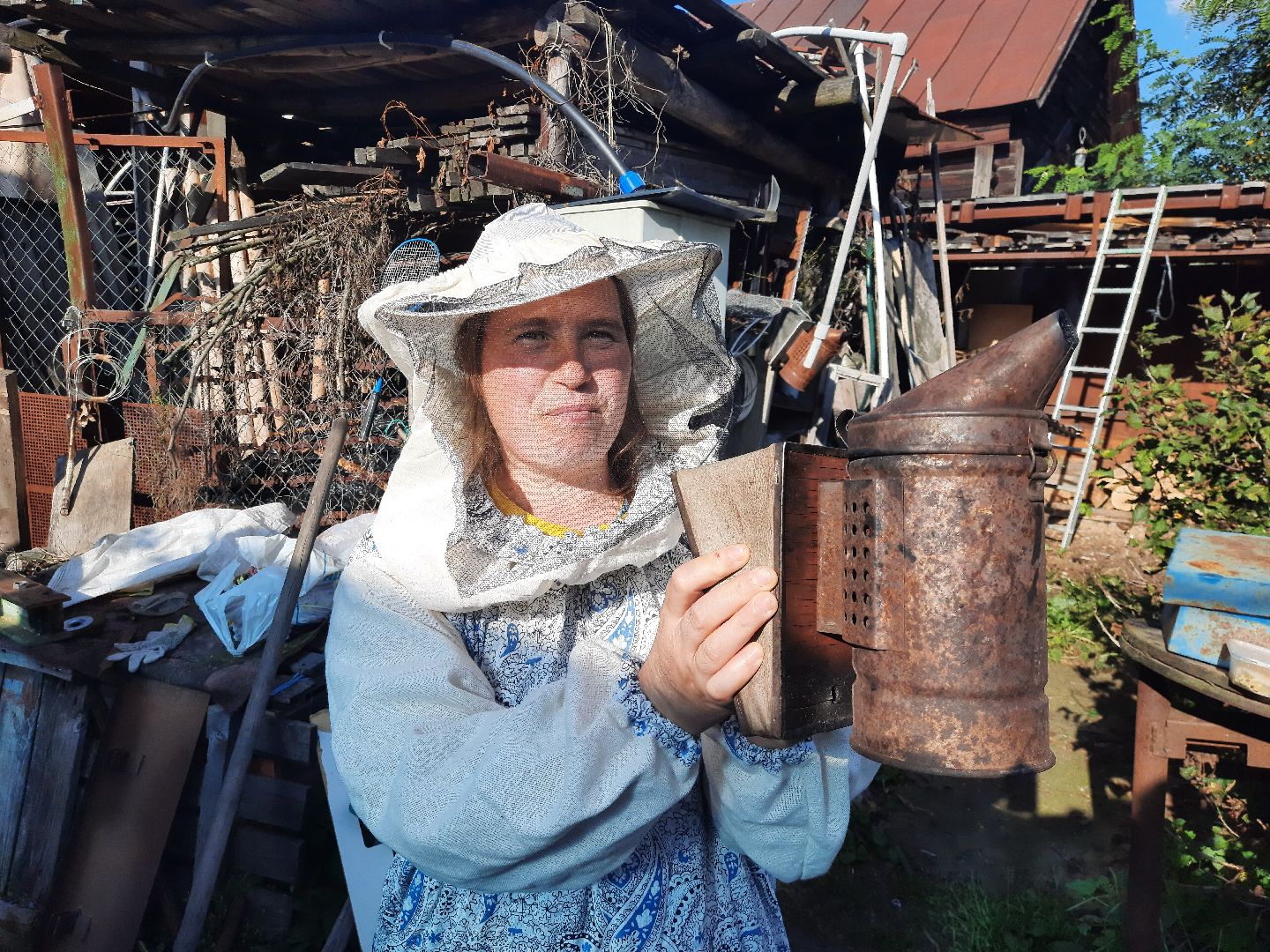 шатура, пчеловодство, мёд, пасека,