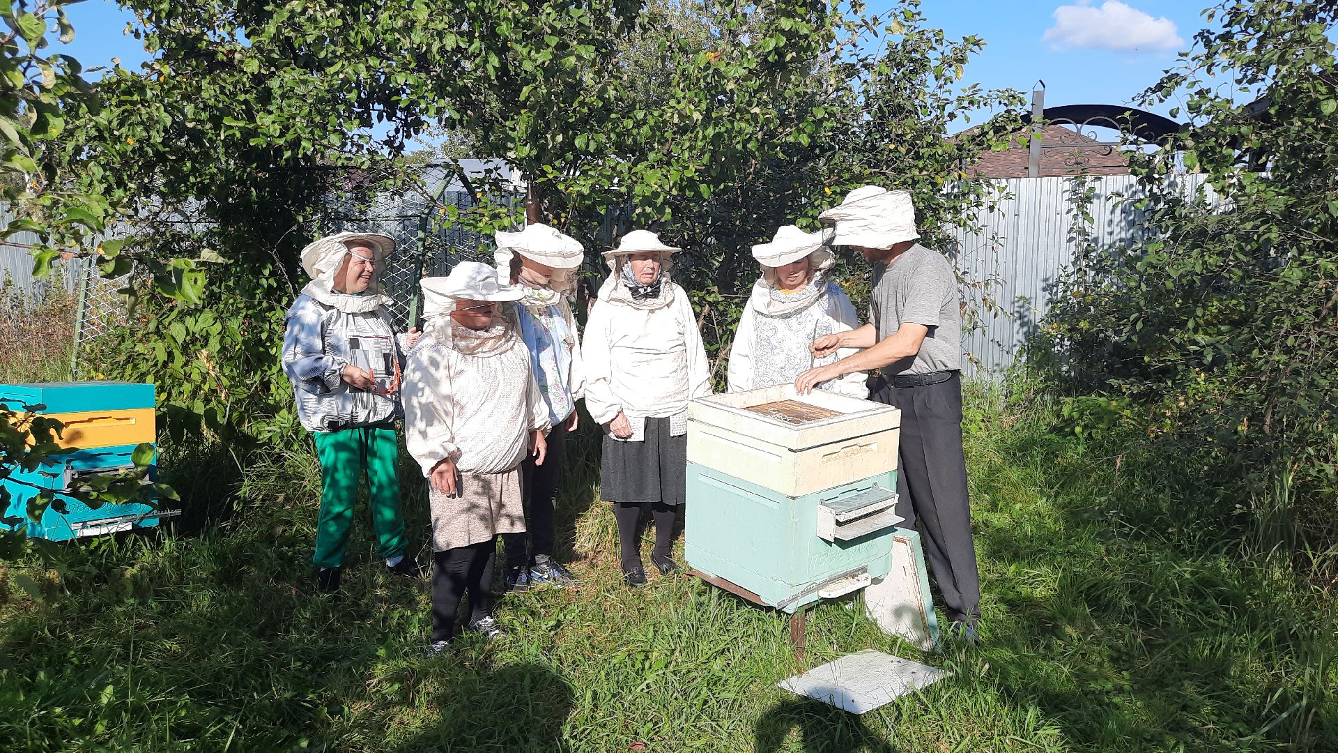 шатура, пчеловодство, мёд, пасека,