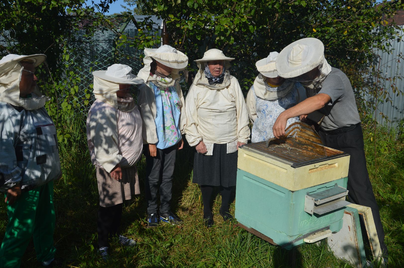 шатура, пчеловодство, мёд, пасека,