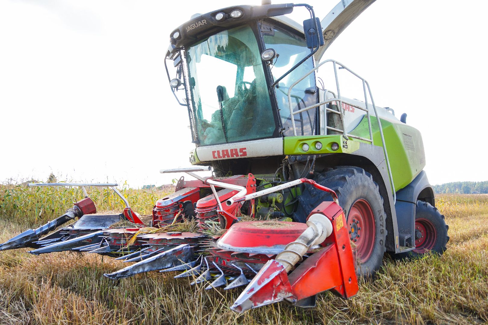 Шатура, АПКШатурский, урожай, сельское хозяйство,