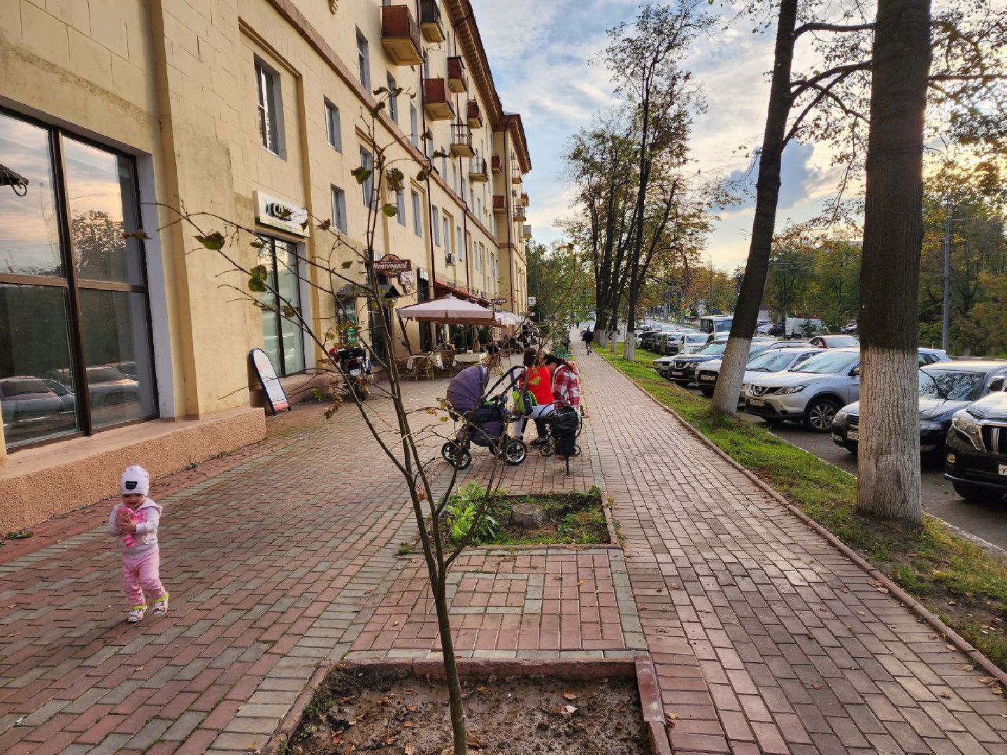 раменское, благоуйстройство, аллея из лип на центральной улице,