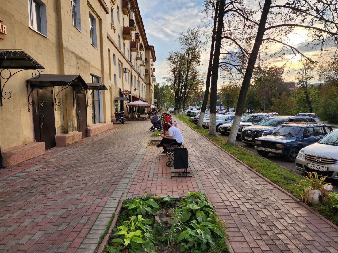 раменское, благоуйстройство, аллея из лип на центральной улице,