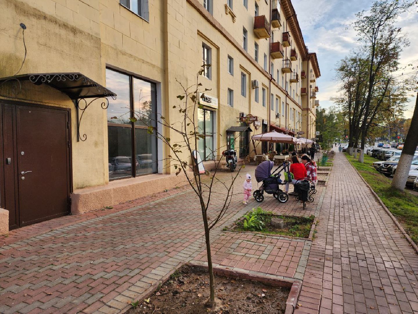 раменское, благоуйстройство, аллея из лип на центральной улице,