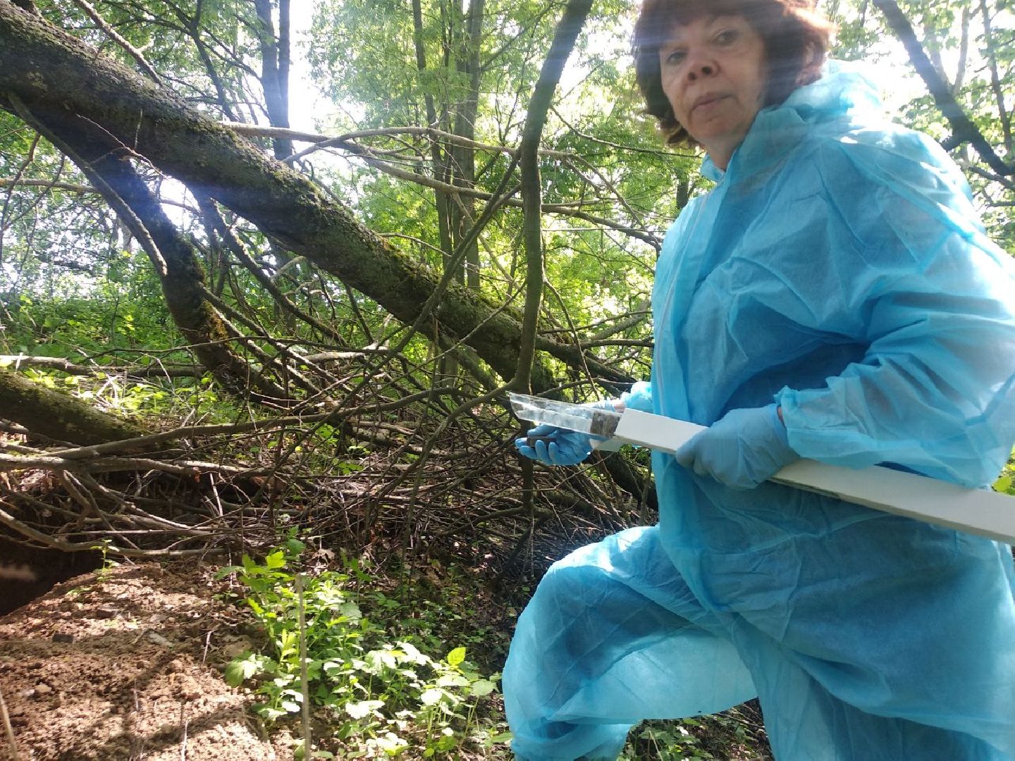 дмитров, карантин, минсельхоз,