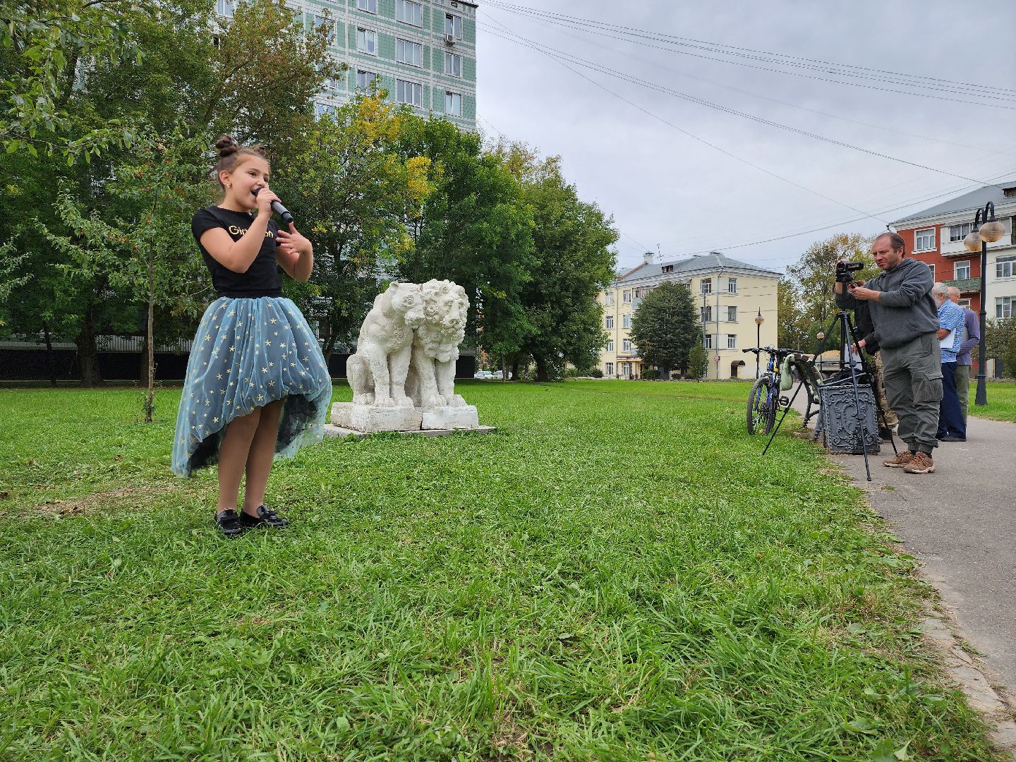Серпухов, подмосковье, грустные львы, реставрация, сквер, волонтеры,