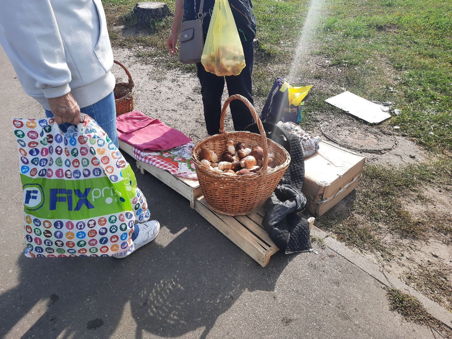 шатура, грибы, тихая_охота, белые, лисички,