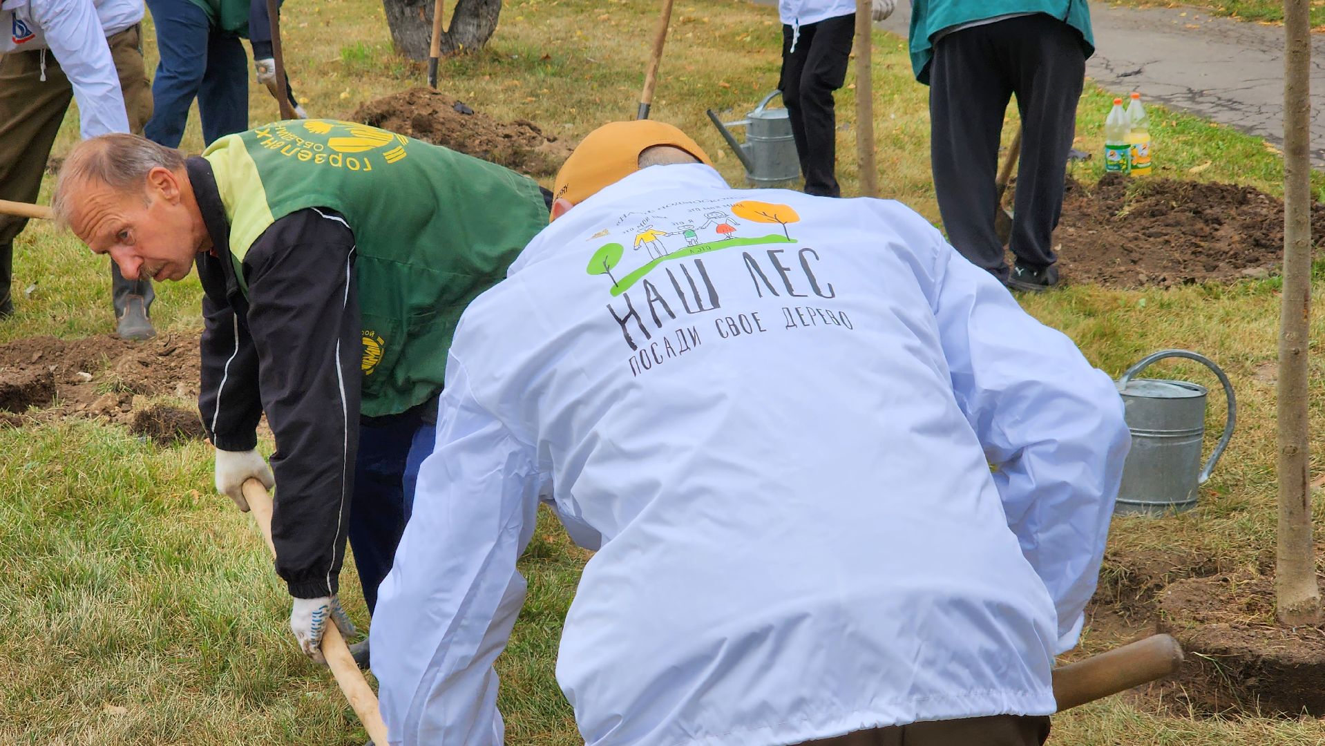 наш лес, экологическая акция, озеленение,