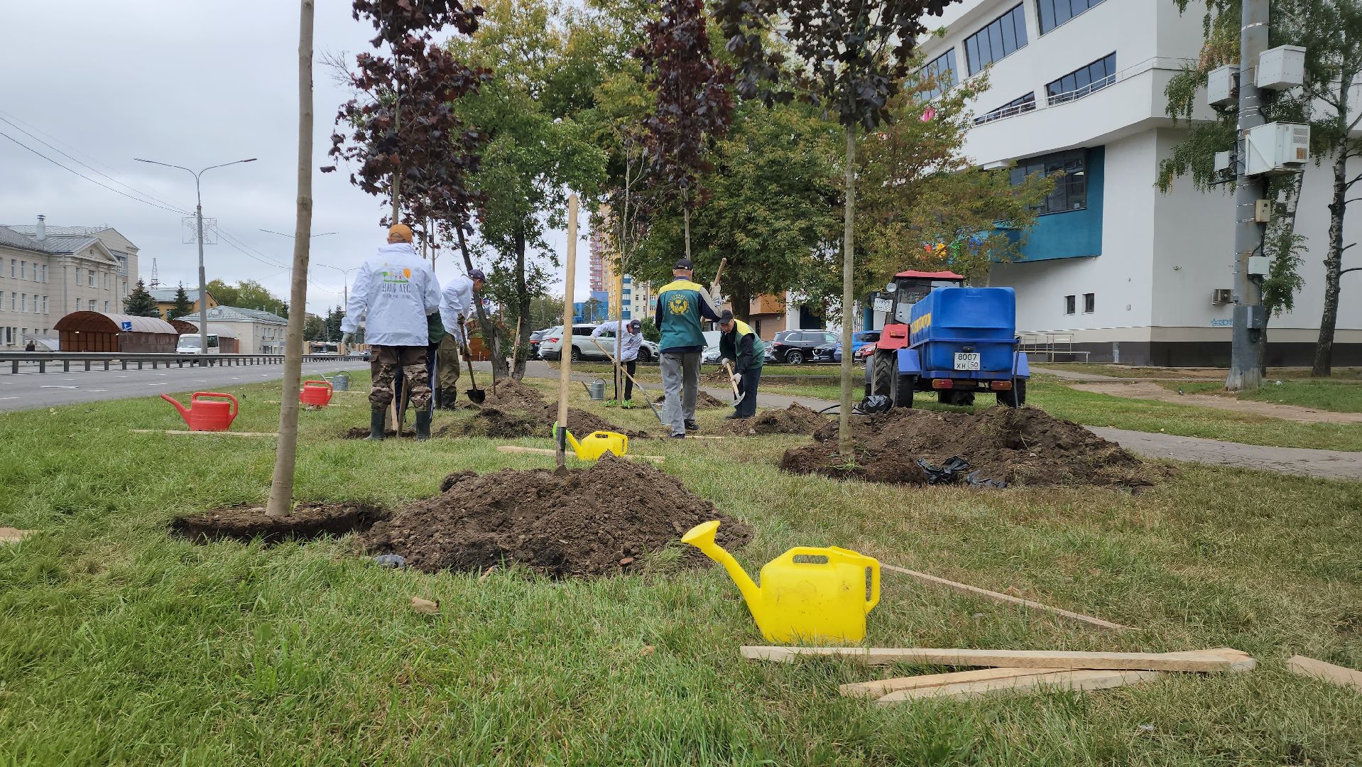 наш лес, экологическая акция, озеленение,