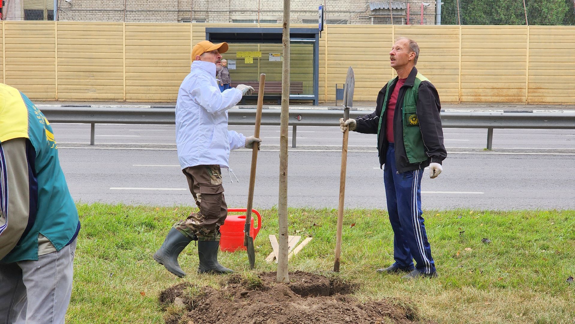 наш лес, экологическая акция, озеленение,