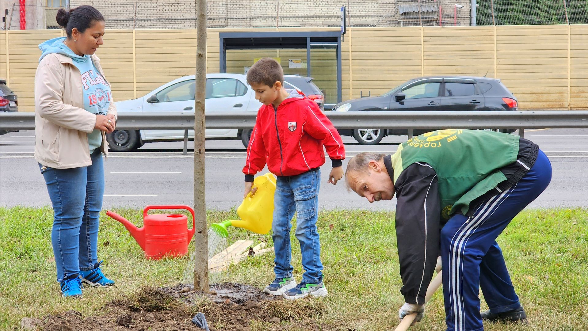 наш лес, экологическая акция, озеленение,