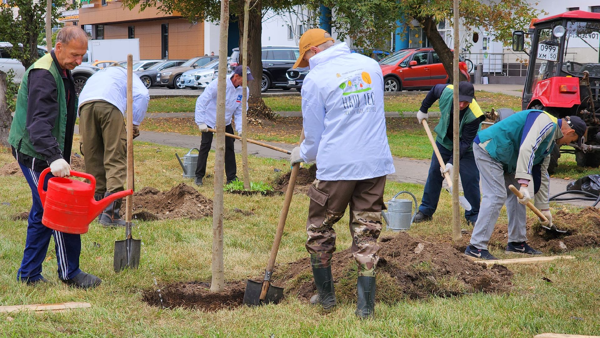 наш лес, экологическая акция, озеленение,