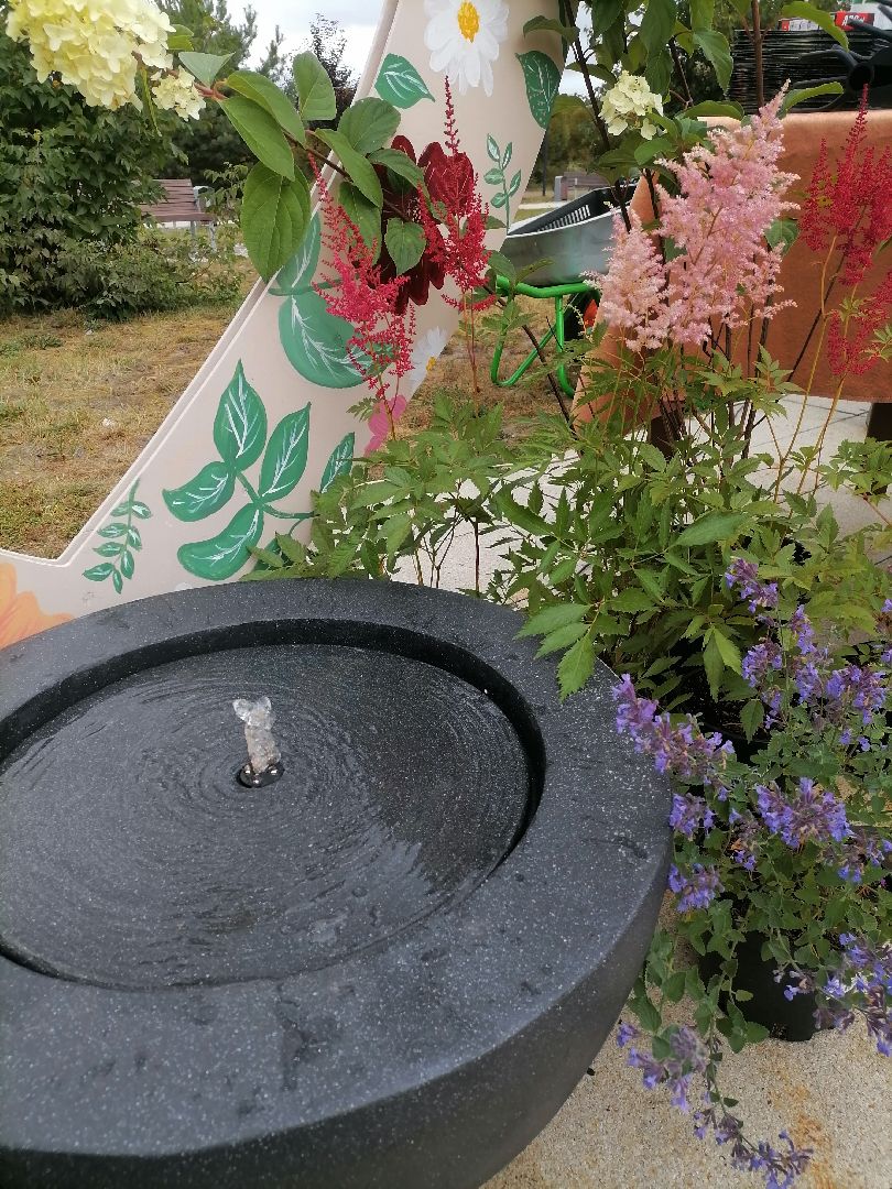 живописныйпарк,