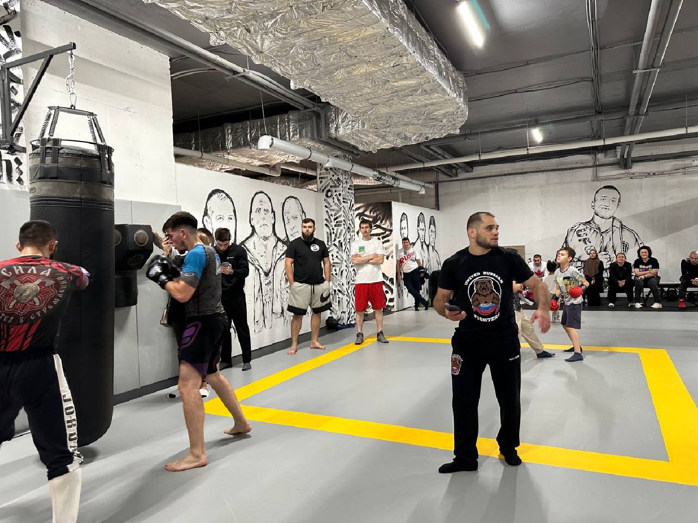 спорт, Пушкино, городской округ Пушкинский, ММА, МК Team,