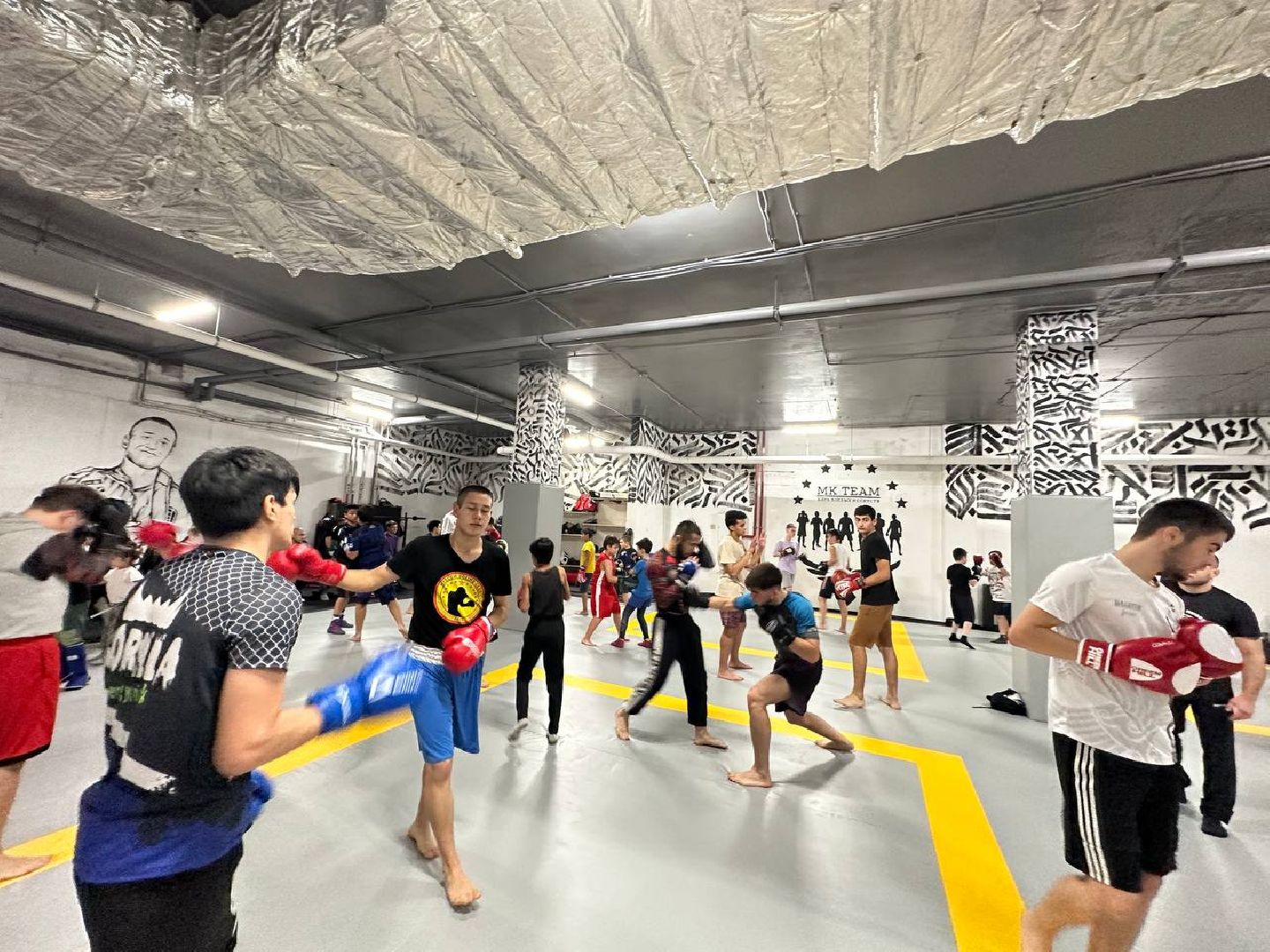 спорт, Пушкино, городской округ Пушкинский, ММА, МК Team,