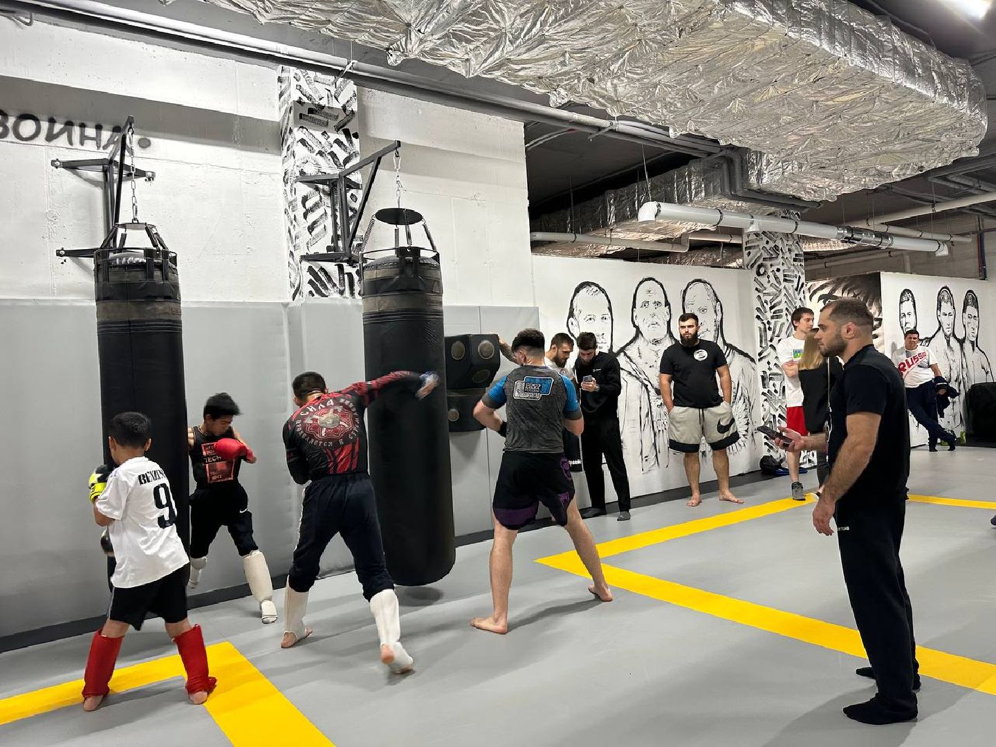 спорт, Пушкино, городской округ Пушкинский, ММА, МК Team,