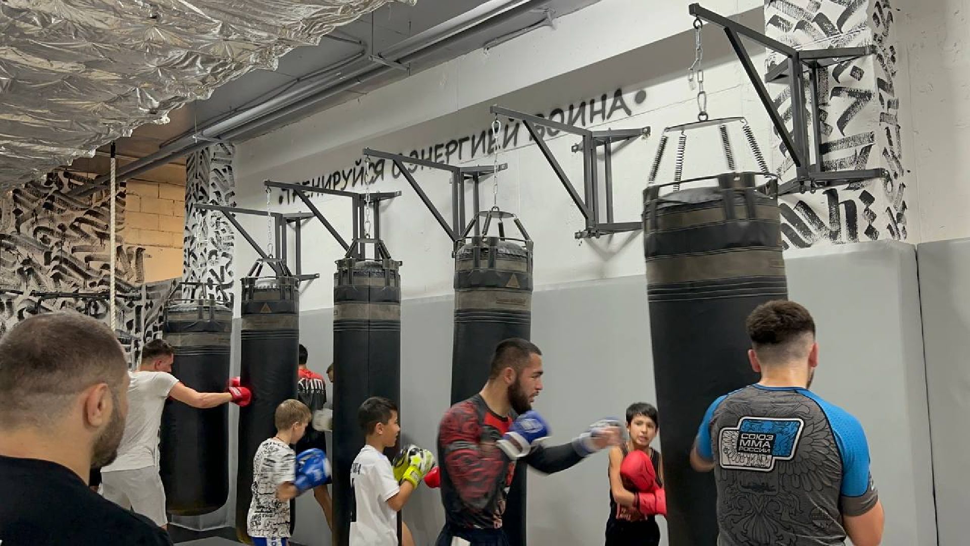 спорт, Пушкино, городской округ Пушкинский, ММА, МК Team,