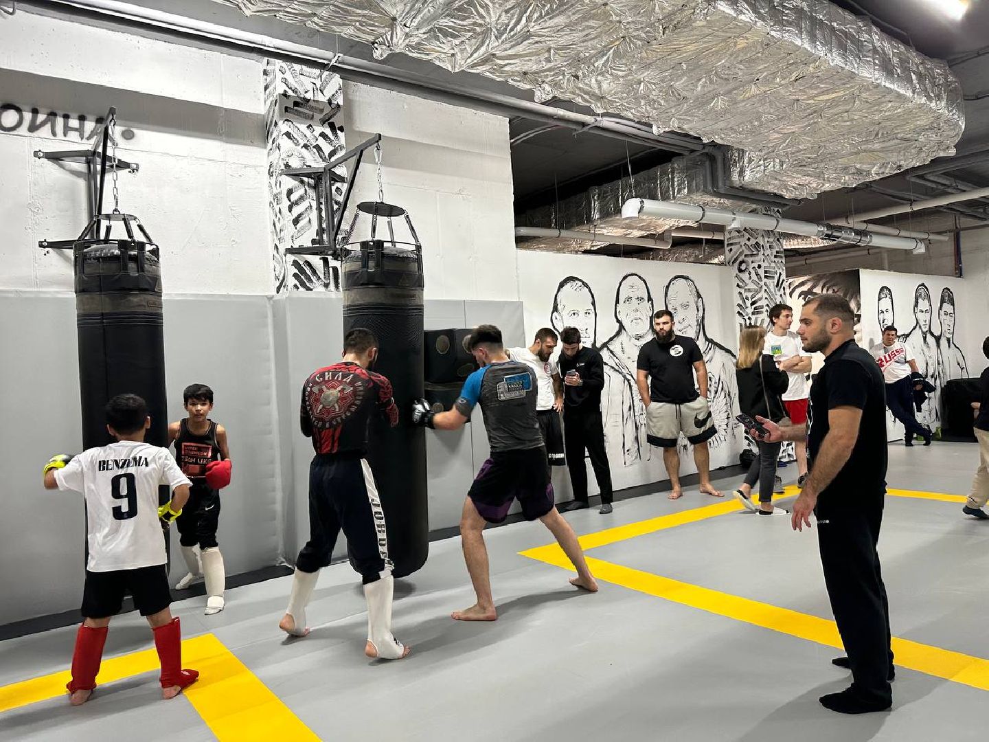 спорт, Пушкино, городской округ Пушкинский, ММА, МК Team,