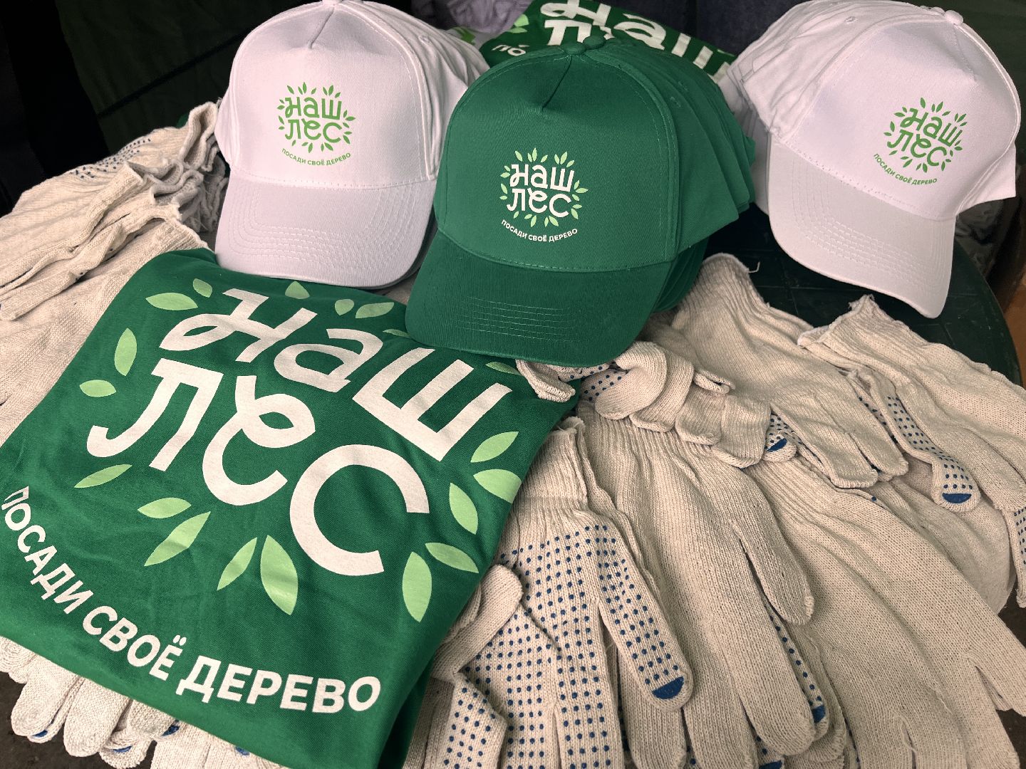 экологическая акция, экология, руза, рузский округ, наш лес, московская область, подмосковье,